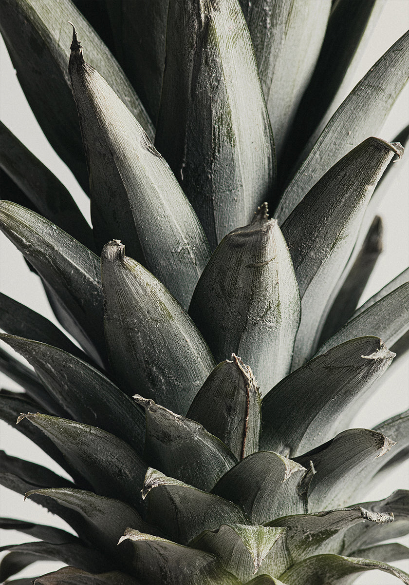 Póster Pineapple close up