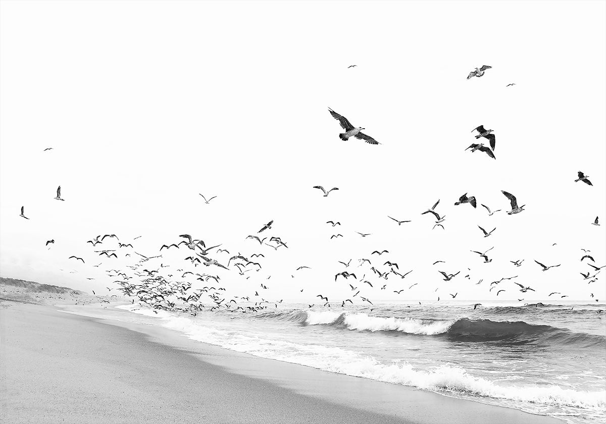 Seascape BW (NOVO)