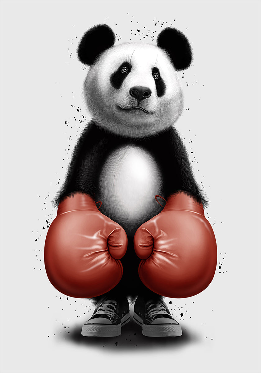 Póster PANDA BOXER