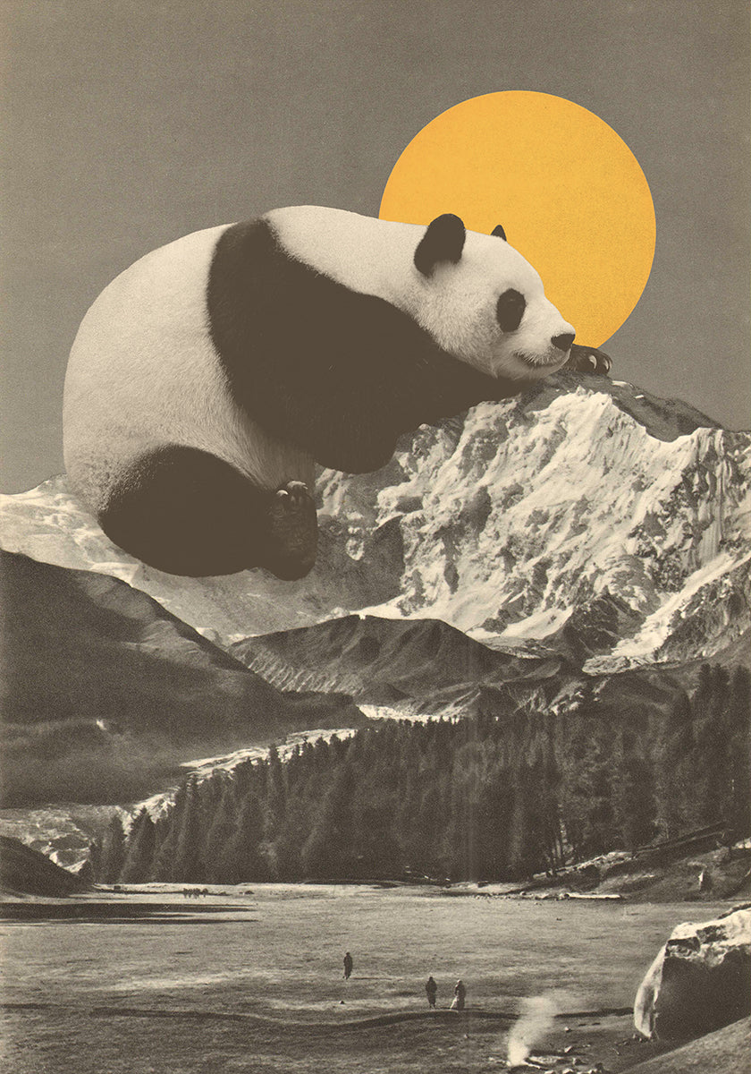 Cochilo do Panda Gigante (NOVO)