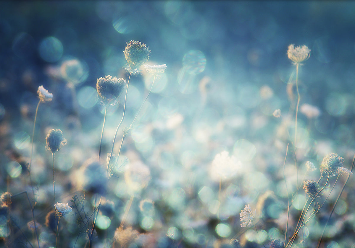 Diamantes