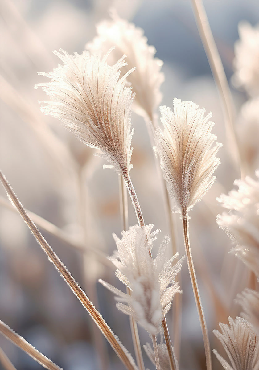 Pôster Elegância Fosca