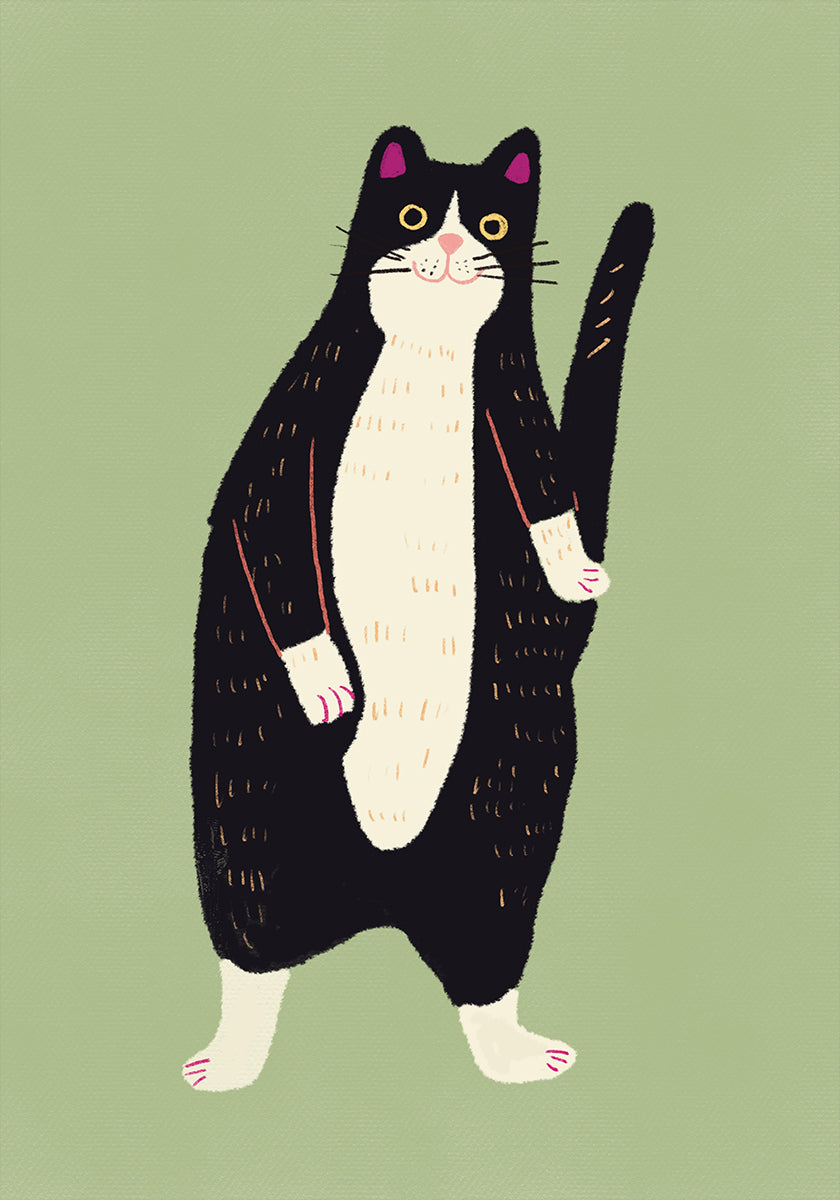 Gato preto e branco 02 (NOVO)