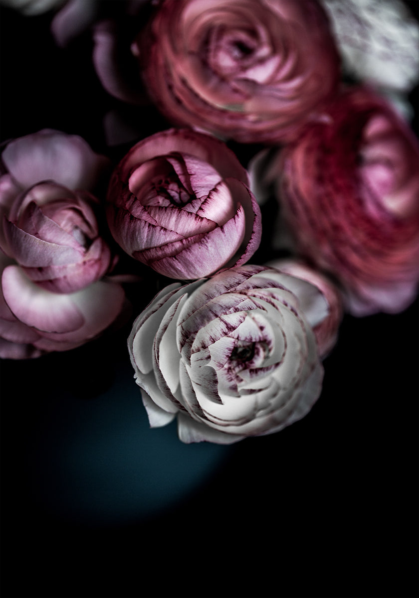 Flores Escuras 2
