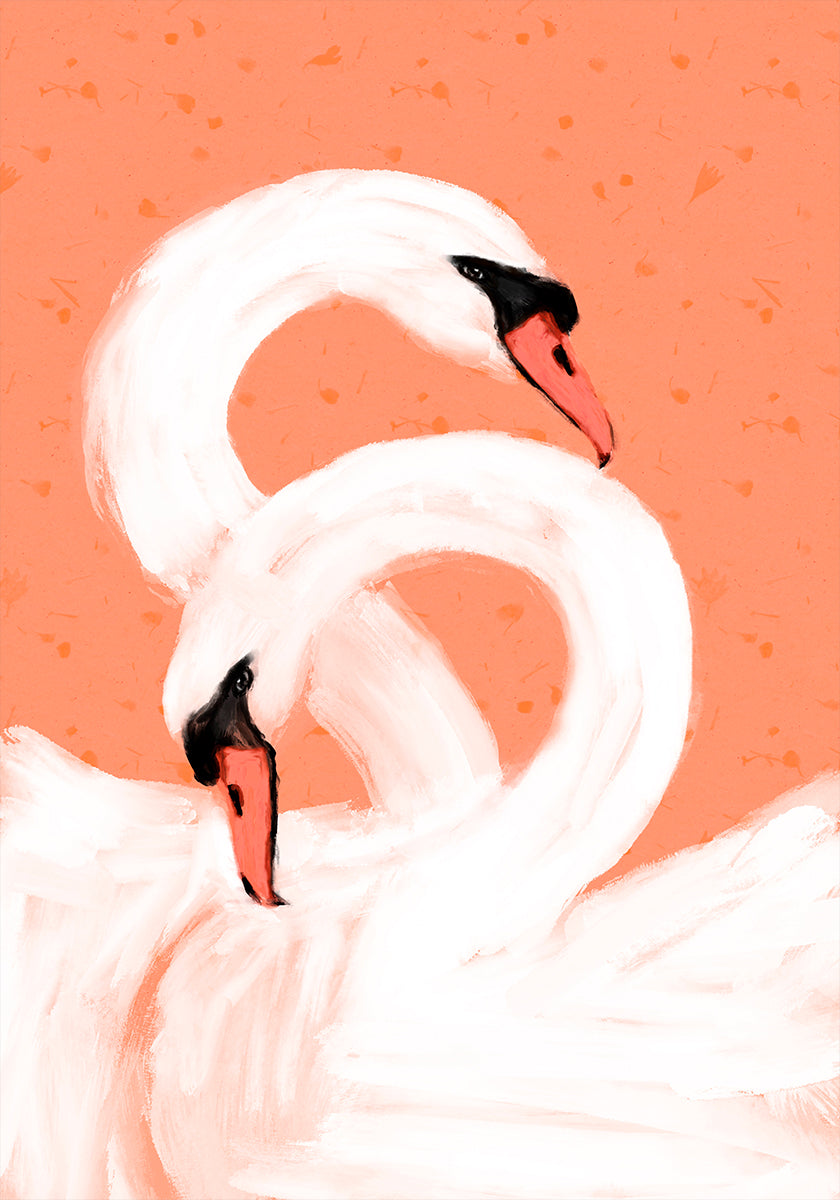 Cisnes Graciosos