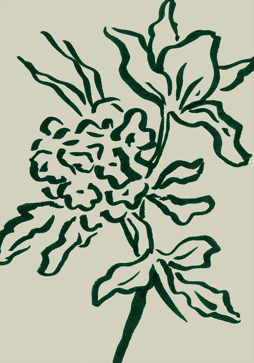 Flores