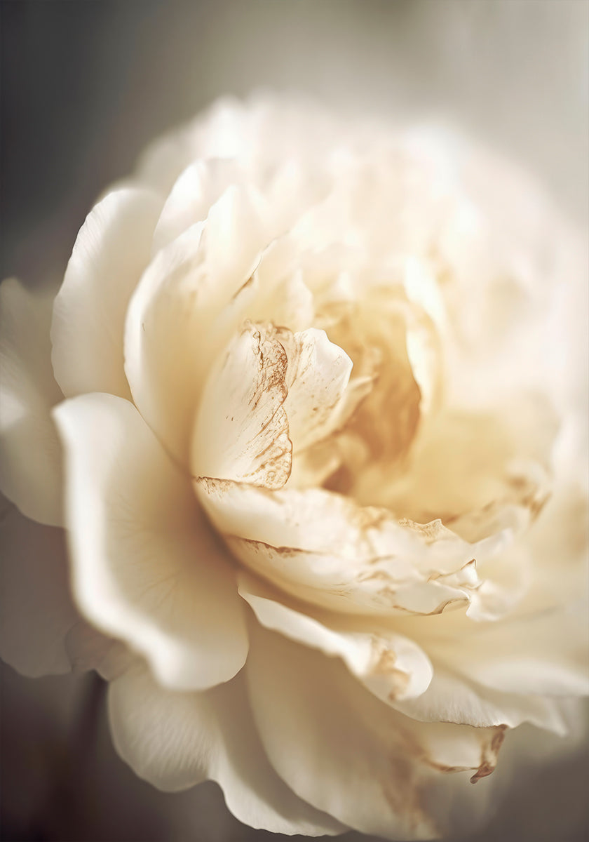 Flor Etérea