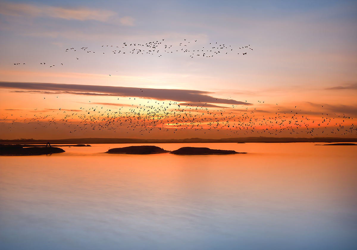 Póster pôr do sol da cidade