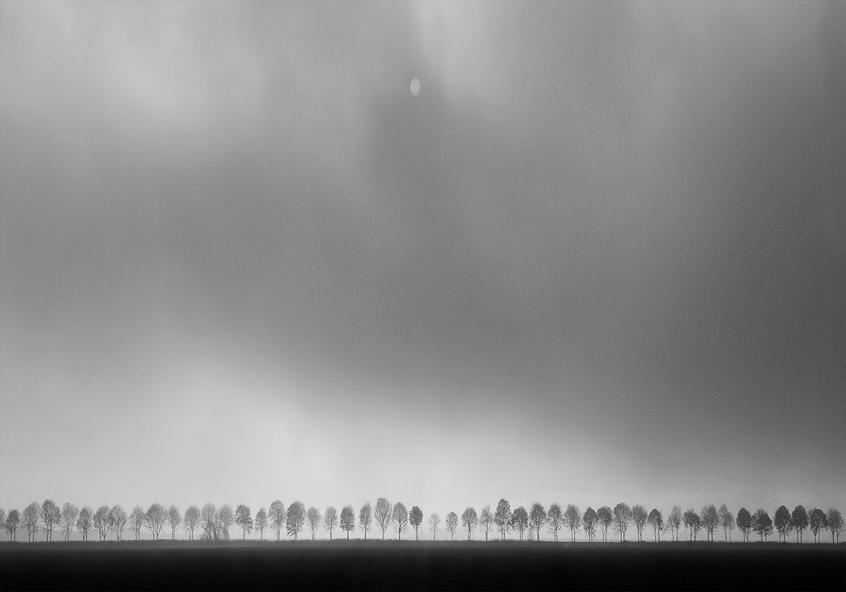 Paisagem de pólder