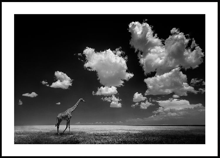 Foi com as nuvens
