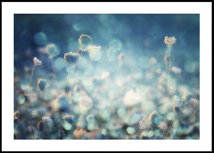 Diamantes
