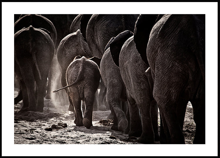 Caminhando para casa