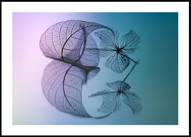 Póster História da folha e da flor