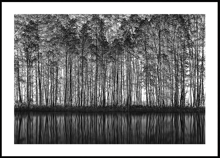 Natureza Pontilhismo