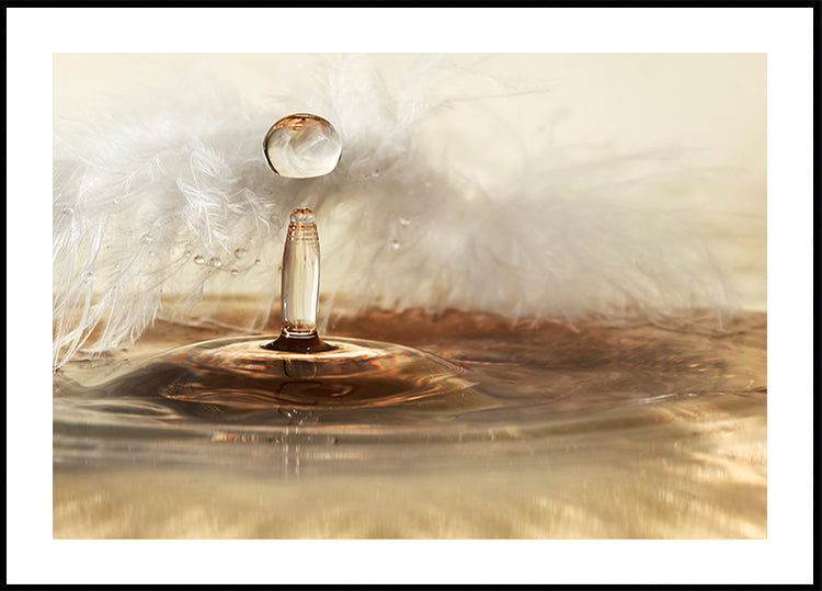 Gotas de penas douradas