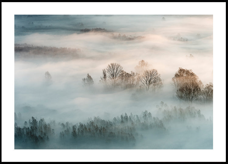 Póster Winter fog