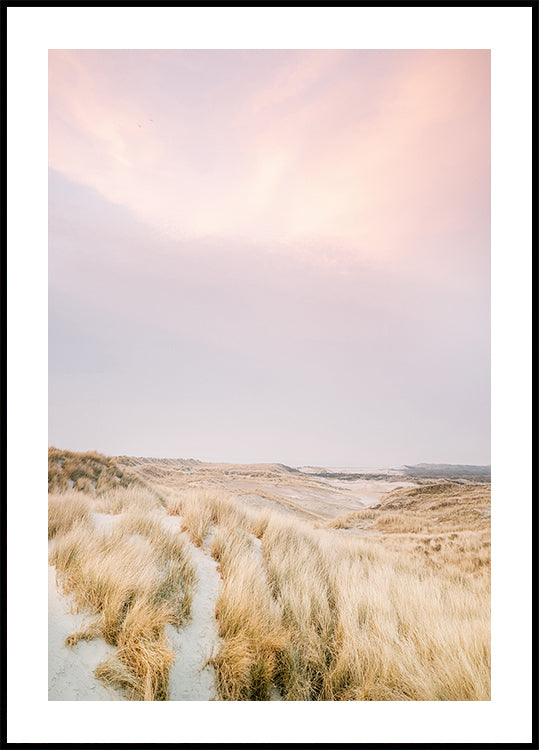 Dunas de Ameland 1 (NOVO)