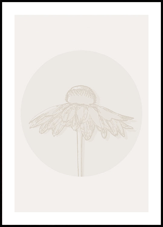 Poster Flor de Gaillardia, linha botânica de arte