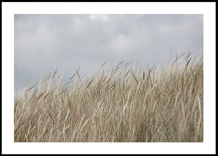 Dunas e Nuvens
