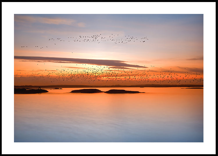 Póster pôr do sol da cidade