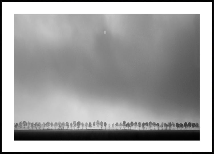 Paisagem de pólder