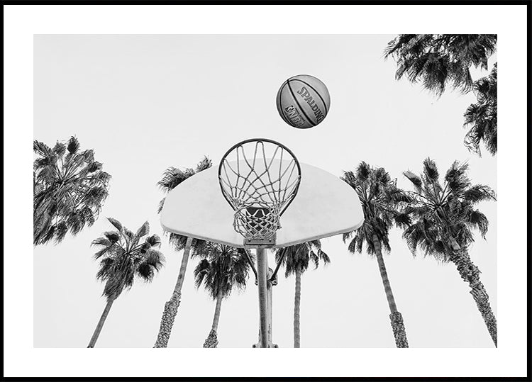 Pôster de basquete