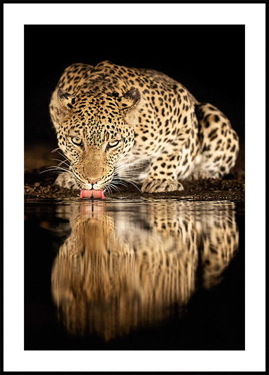 Póster mãe solteira