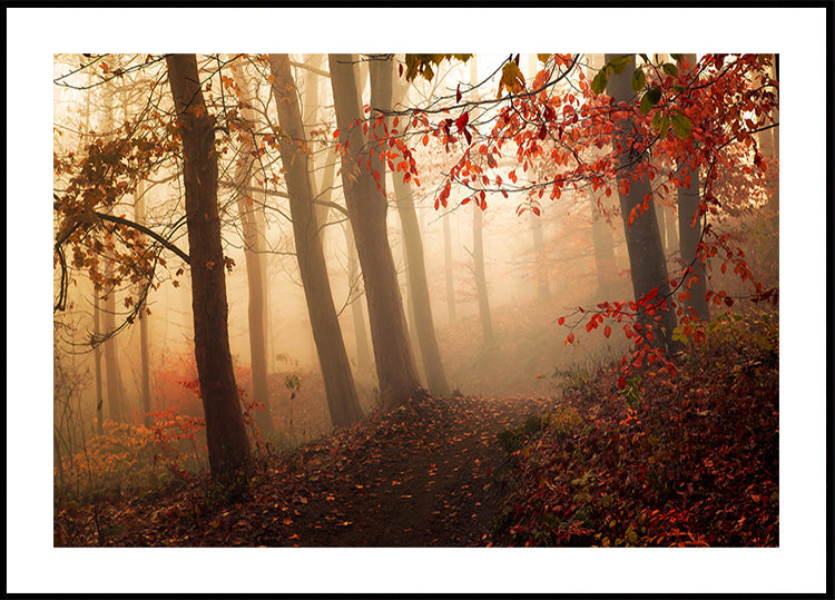 Em direção à luz.