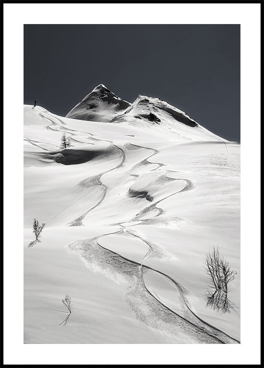 Póster freeride