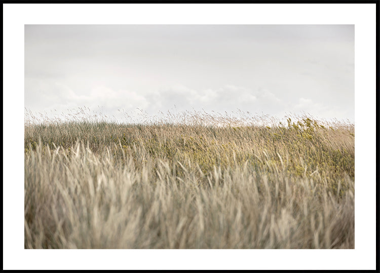 Dunas e Nuvens 2