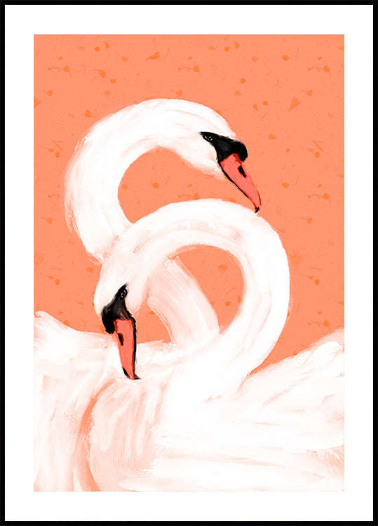 Cisnes Graciosos