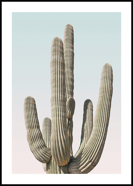 Pôster Saguaro