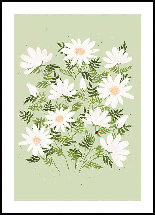 Flores de joaninha