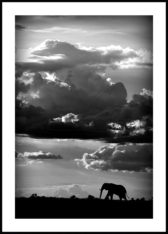 Ele caminha sob um céu africano