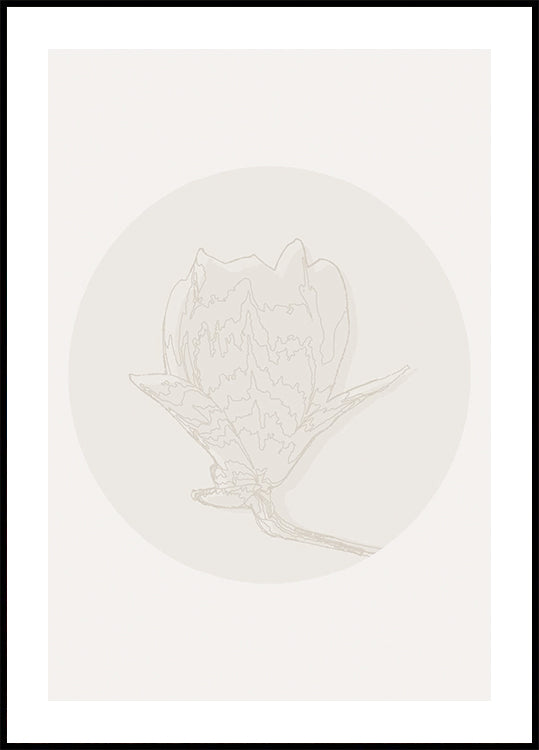 Póster Elegância da magnólia, linha botânica da arte