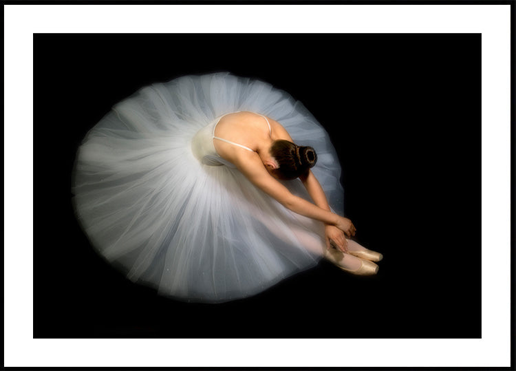 Elegância