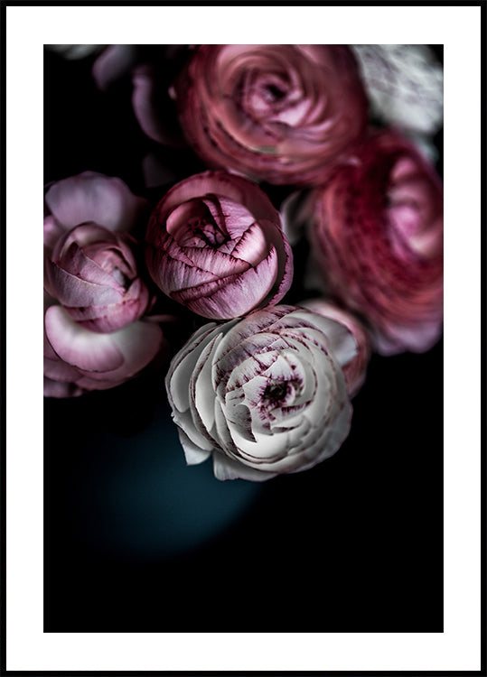 Flores Escuras 2