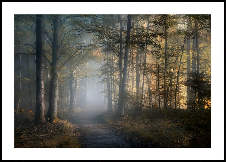 Póster Autumn Symphony