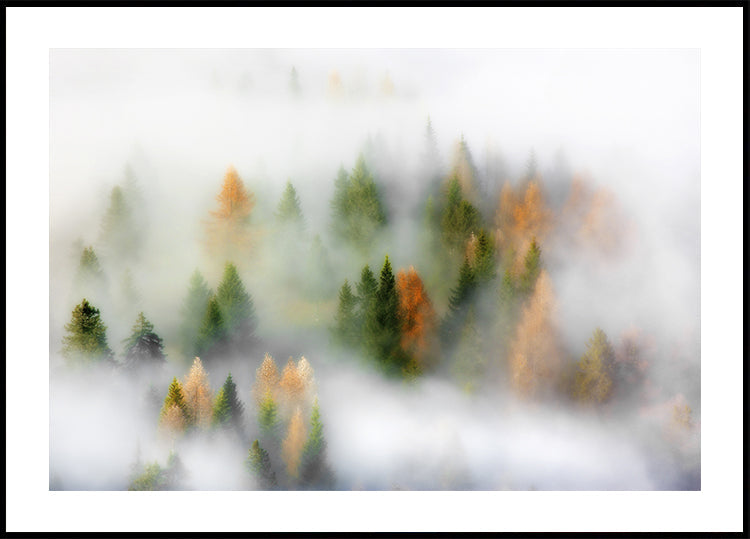 Pôster de sonho de outono