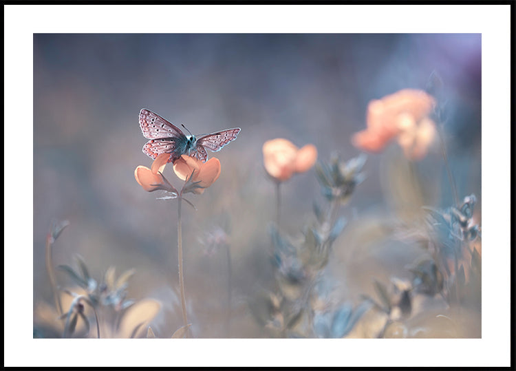 A Senhora de Lothlórien