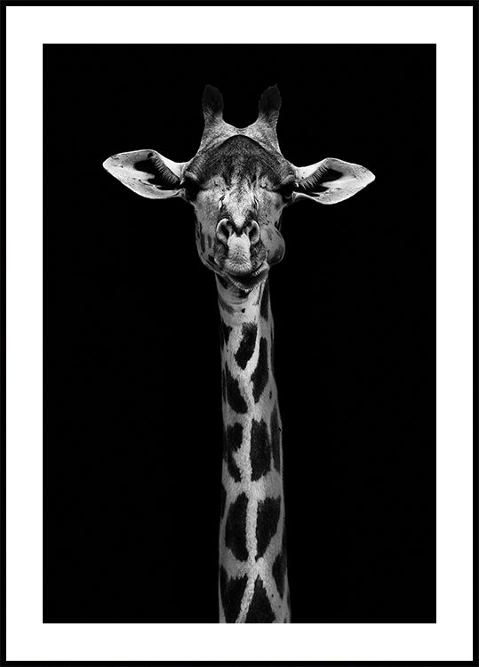 Póster Retrato de girafa