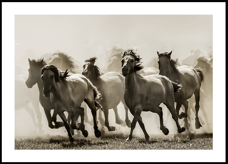 Cavalo