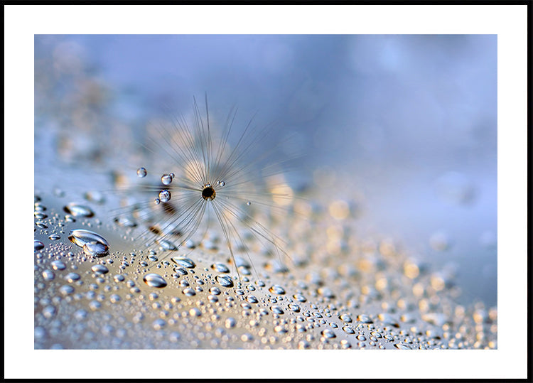 Rastejando para baixo