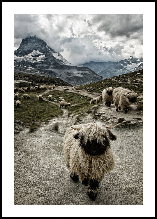 Póster Fora do meu caminho