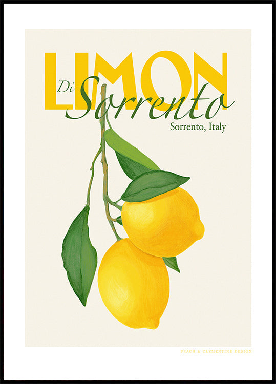 Pôster de cópia Pandclimondisorento