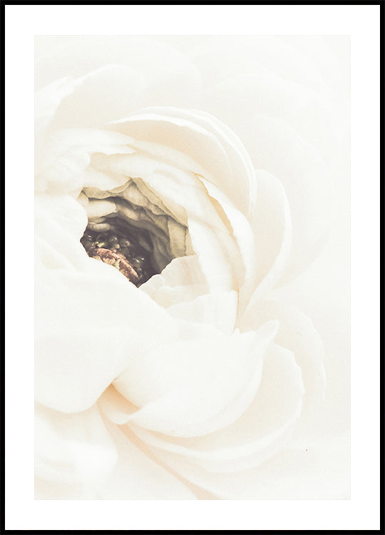 Póster Flor Branca No.1