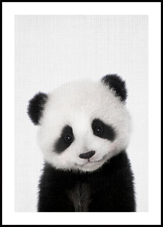 Bebê Panda Esconde-esconde