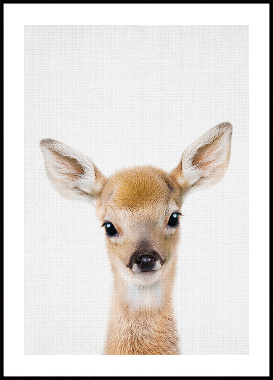 Peekaboo Baby Deer Plakat