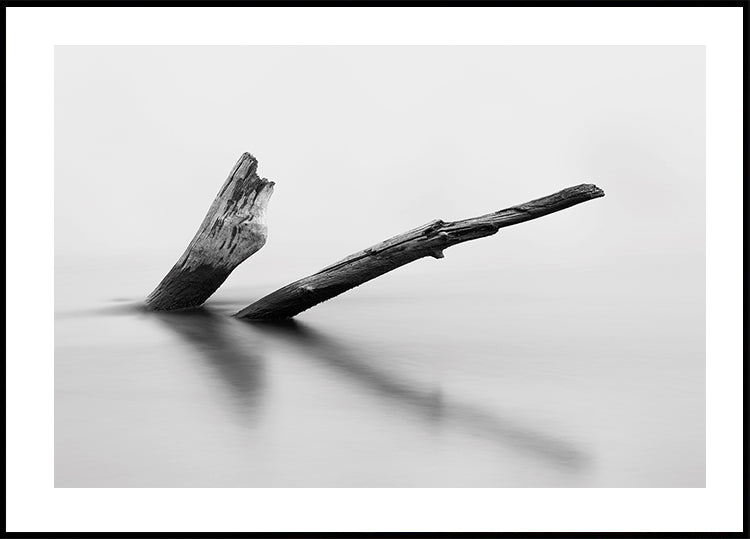 Wooden Log In The Water Plakat - Posterbox.dk