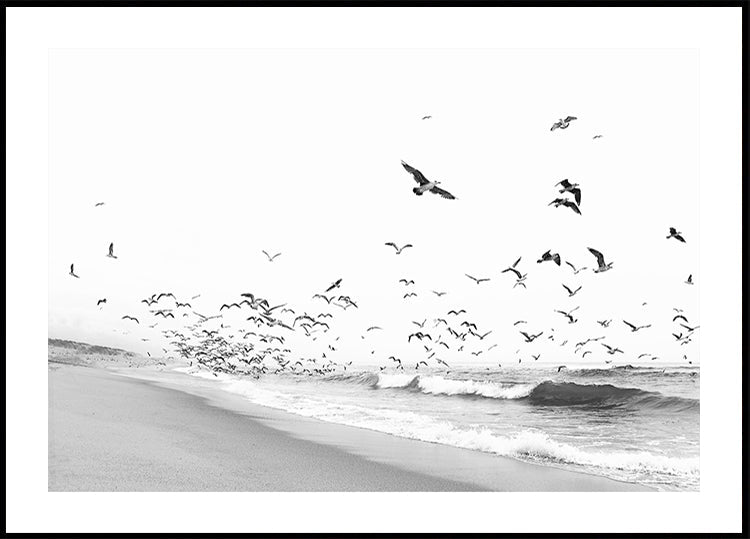 Seascape BW (NOVO)